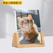 缩略图 9