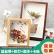 缩略图 2