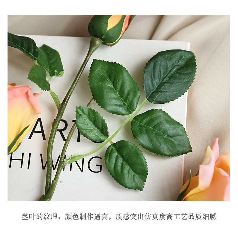 6头可可香玫瑰_14.jpg