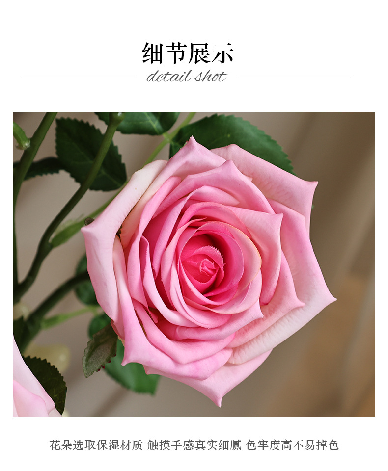 6头可可香玫瑰_13.jpg