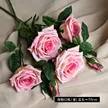 缩略图 9