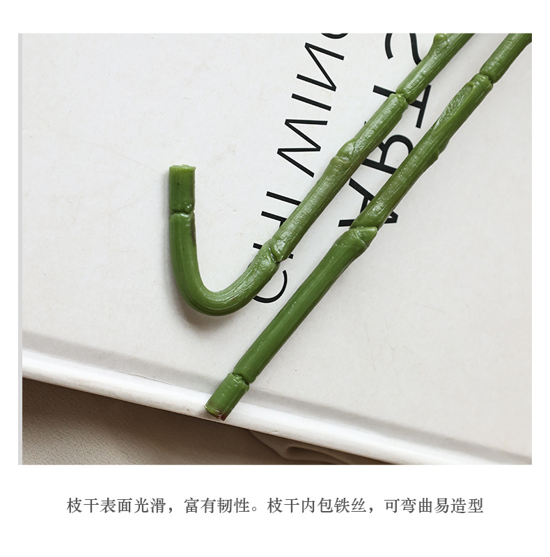 6头可可香玫瑰_15.jpg