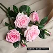 缩略图 7