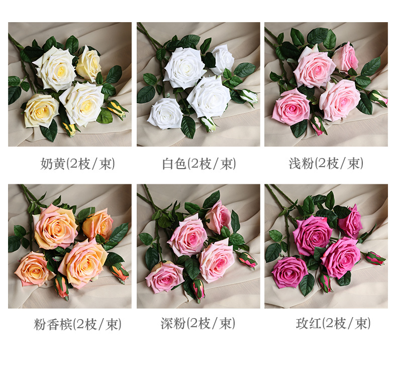 6头可可香玫瑰_04.jpg