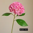 缩略图 9