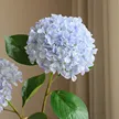 缩略图 2