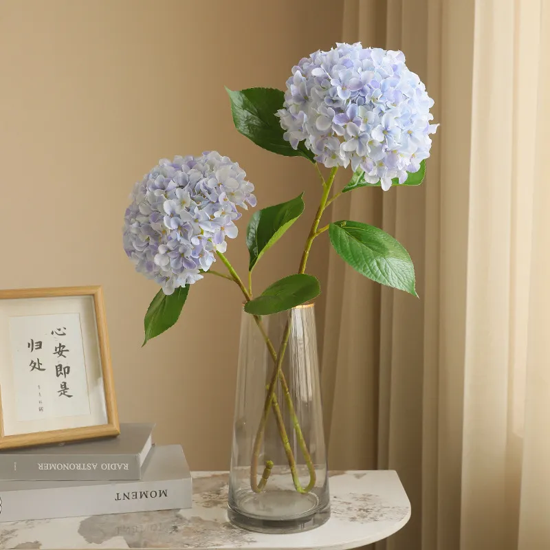 主图 1