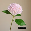 缩略图 6