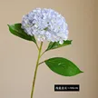 缩略图 8