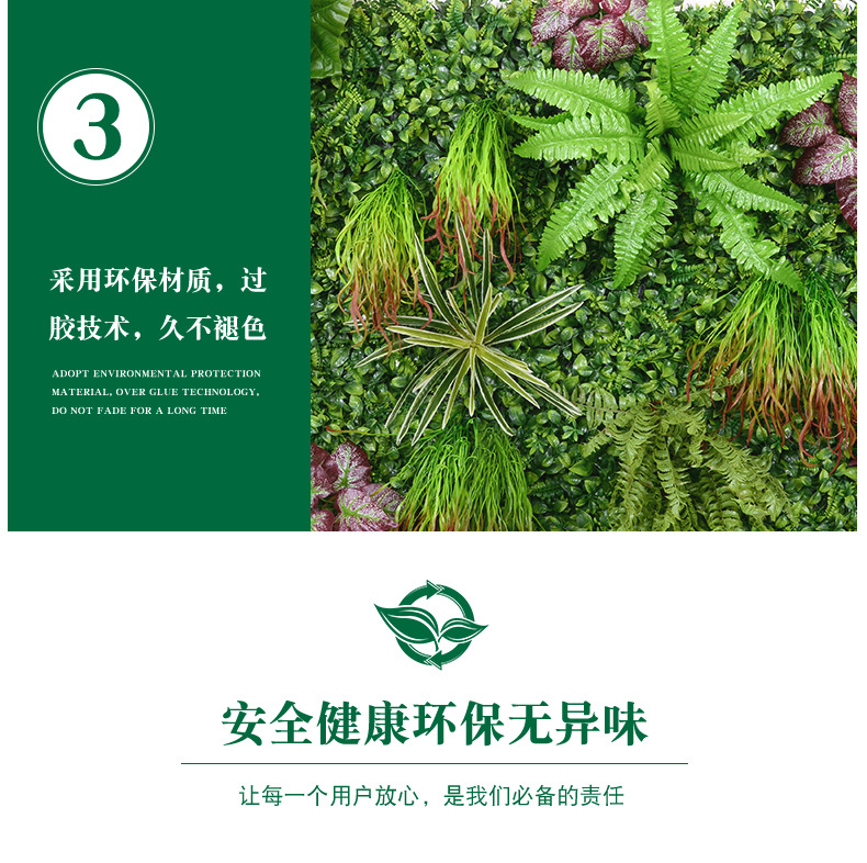 植物墙_09