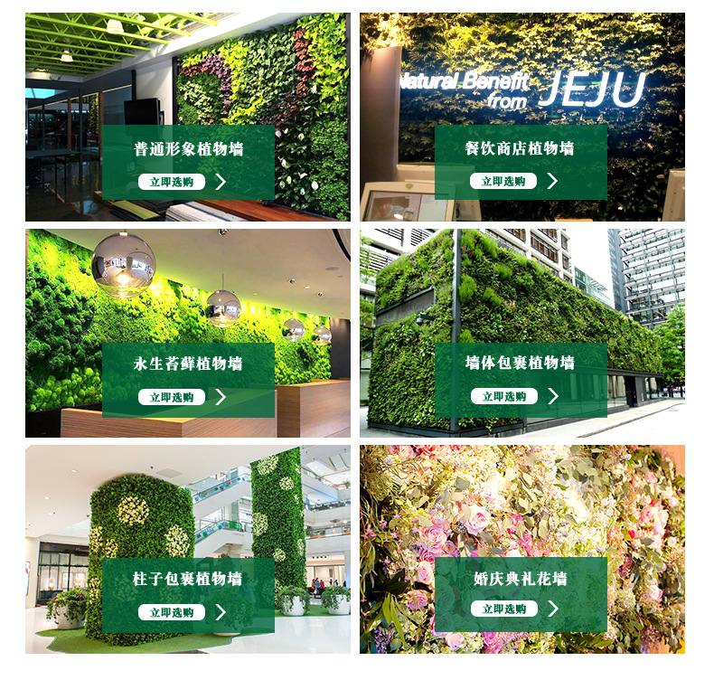 植物墙_02