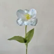 缩略图 7
