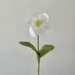 缩略图 5