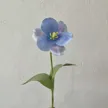 缩略图 9