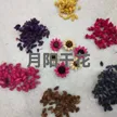缩略图 9