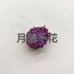 缩略图 8