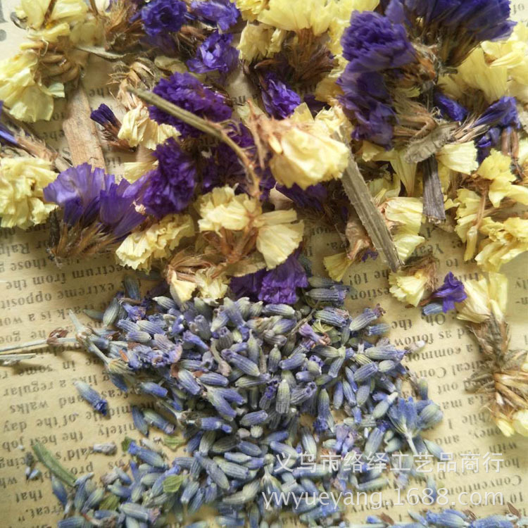 勿忘我薰衣草