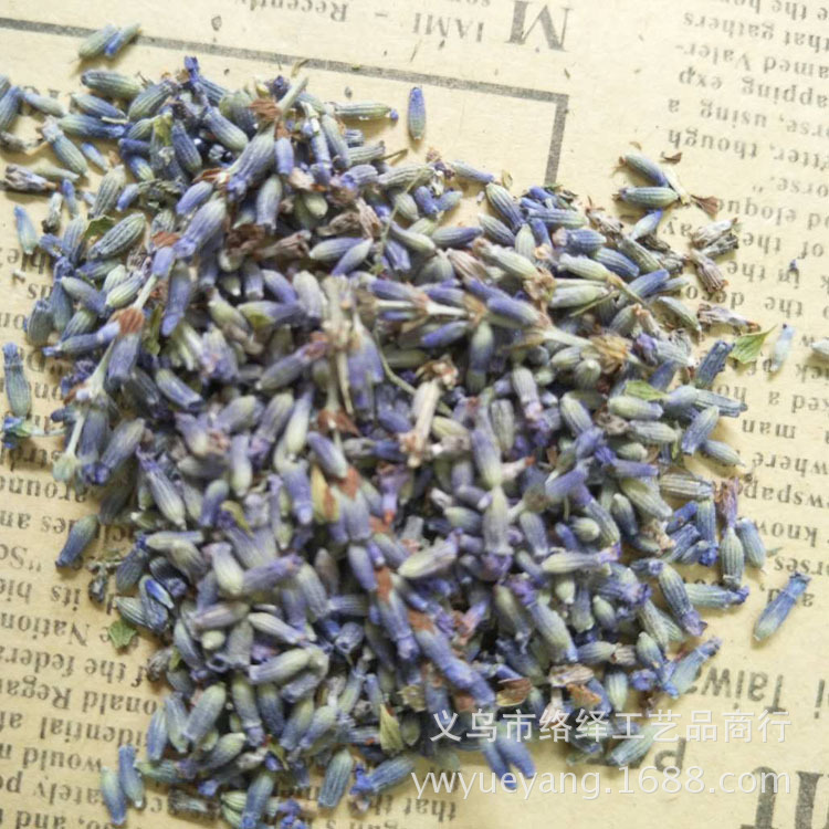 散的薰衣草草籽