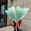 缩略图 8