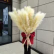 缩略图 9