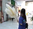 缩略图 6