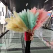 缩略图 2