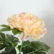 缩略图 1
