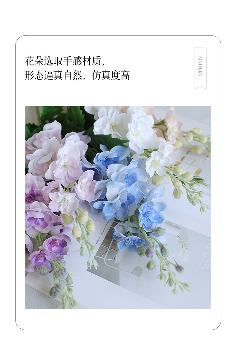 贝芙手感飞燕草_02.jpg