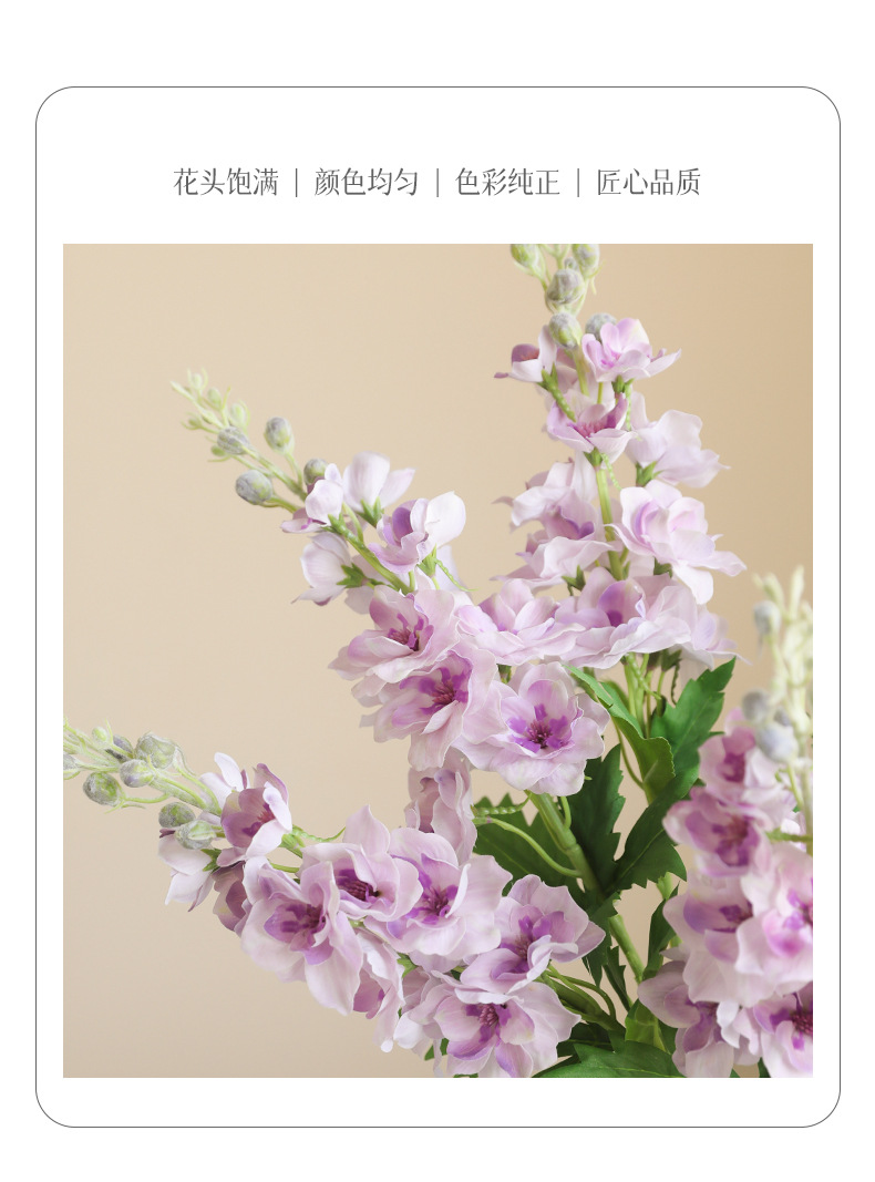 贝芙手感飞燕草_07.jpg