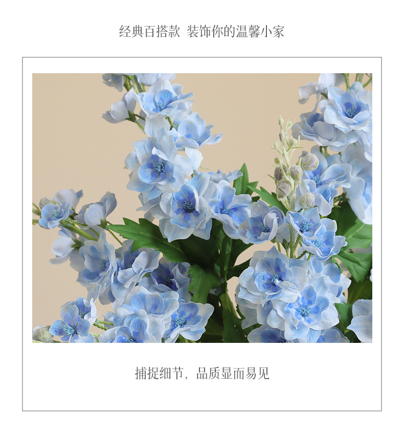 贝芙手感飞燕草_05.jpg