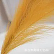 缩略图 2