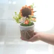 缩略图 2