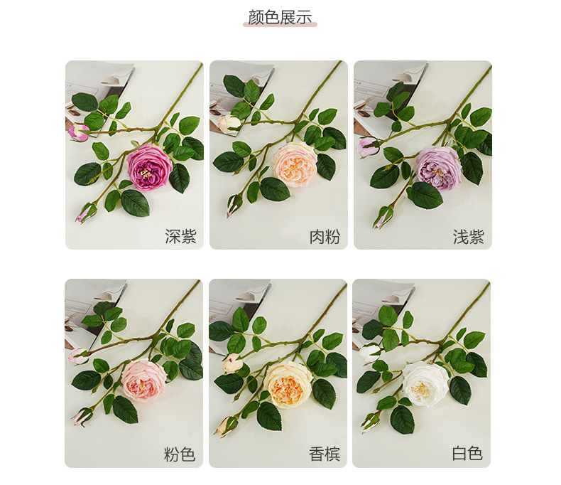单枝3头奈斯玫瑰_05.jpg