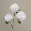 缩略图 6