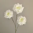 缩略图 7