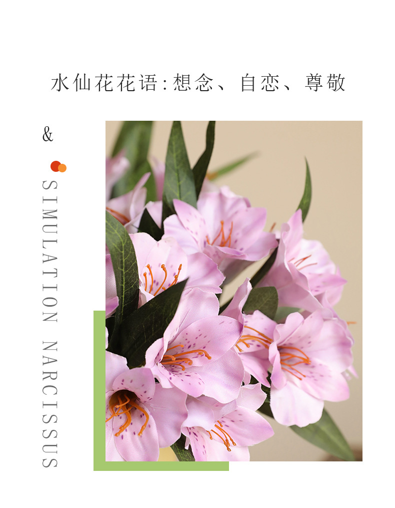 单枝6头水仙_02.jpg