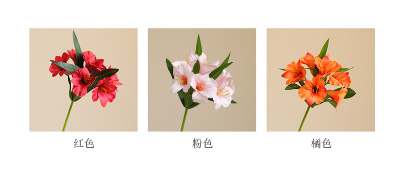 单枝6头水仙_04.jpg