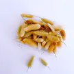 缩略图 9