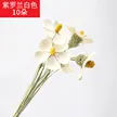 缩略图 5