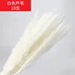 缩略图 7