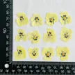 缩略图 6