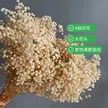 缩略图 1