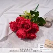 缩略图 3
