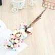 缩略图 5