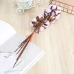 缩略图 2