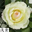缩略图 7