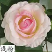 缩略图 8