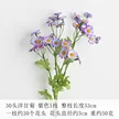 缩略图 9