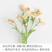 缩略图 6