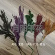 缩略图 1